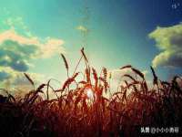 南京梦兴房产经纪有限公司
