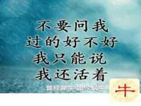 南京梦兴房产经纪有限公司