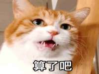 南京梦兴房产经纪有限公司