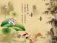 南京梦兴房产经纪有限公司