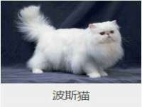 南京梦兴房产经纪有限公司