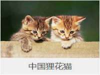 南京梦兴房产经纪有限公司