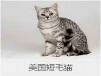 南京梦兴房产经纪有限公司