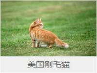 南京梦兴房产经纪有限公司
