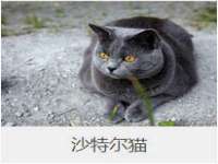 南京梦兴房产经纪有限公司