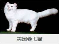 南京梦兴房产经纪有限公司