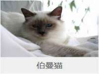 南京梦兴房产经纪有限公司