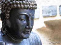 南京梦兴房产经纪有限公司