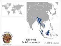 南京梦兴房产经纪有限公司