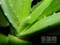 南京梦兴房产经纪有限公司