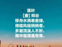 南京梦兴房产经纪有限公司