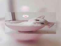 南京梦兴房产经纪有限公司