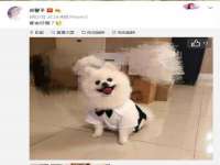 南京梦兴房产经纪有限公司