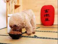 南京梦兴房产经纪有限公司