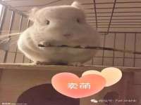 南京梦兴房产经纪有限公司