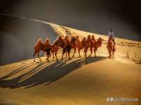南京梦兴房产经纪有限公司