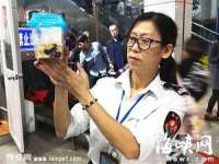南京梦兴房产经纪有限公司