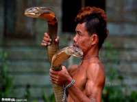 南京梦兴房产经纪有限公司