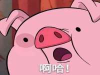 南京梦兴房产经纪有限公司